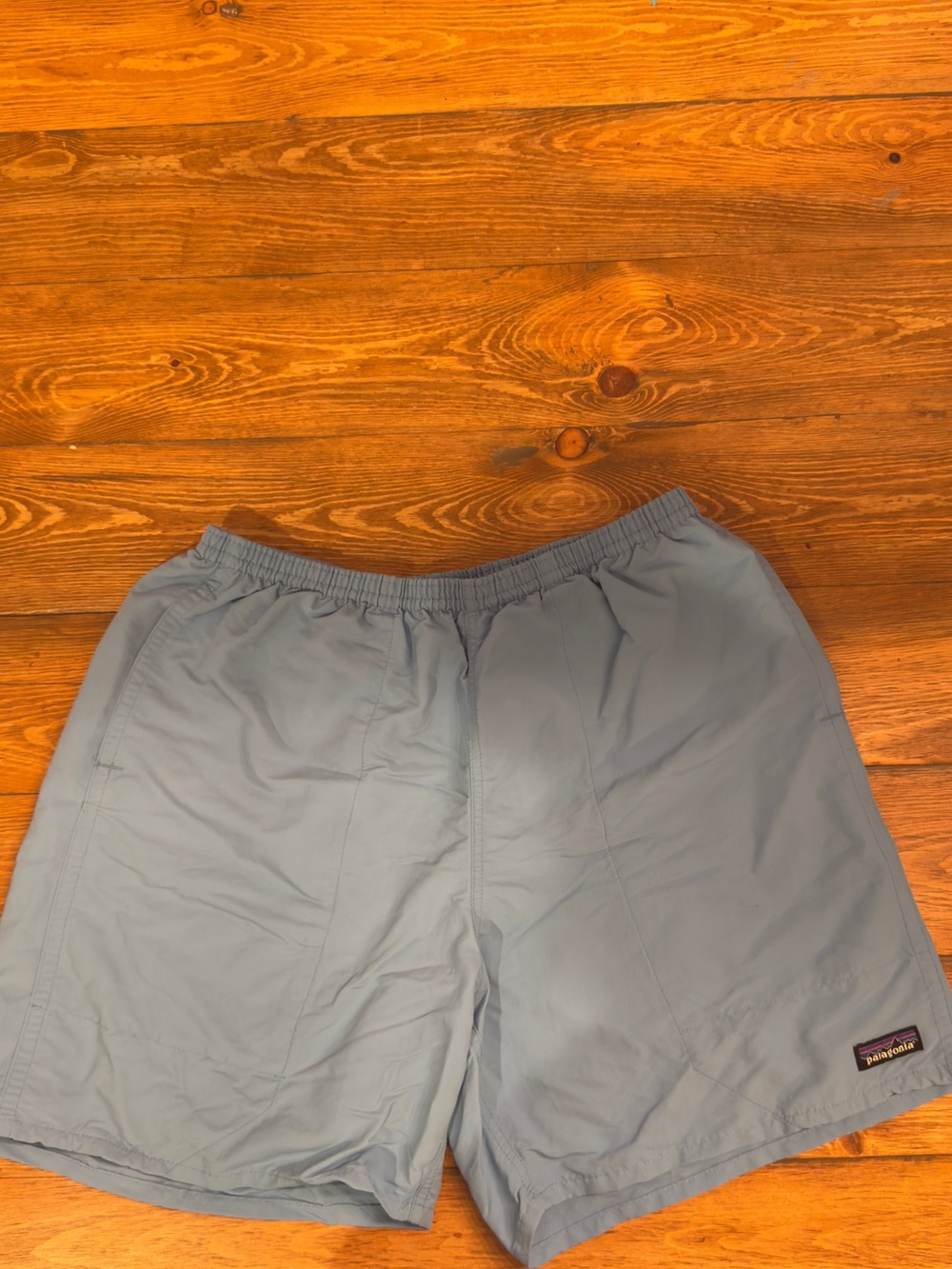 Patagonia Baggies Longs Shorts